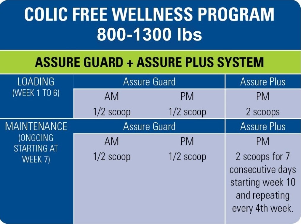free-wellness-program-700-1400