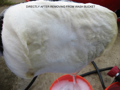 Wool Wash Mitt - USA Auto Supply