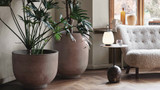 Live Your Best Light: New Designer Lighting For 2020