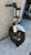 Honda CBR600 F4I Full front end forks in excellent condition