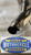 Suzuki GSX1400 MEGACYCLE Exhaust Muffler