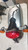 Triumph T120 bONNEVILLE Rear Guard, Tail Light and Indicators, Looks as New