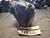 YAMAHA FZR250 3LN 1990 OEM HEADLIGHT