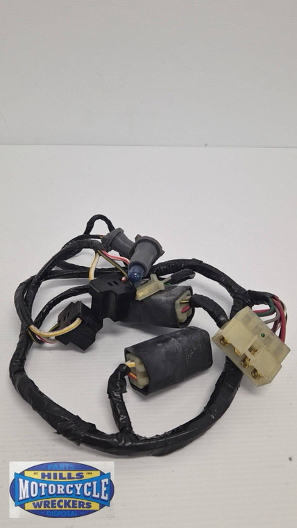 Kawasaki ZZR1200 ZZR 1200 H/Light Harness