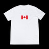 TNA T-Shirt (Canada flag) 3 1/4" x 2"