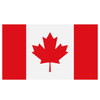 TNA T-Shirt (Canada flag) 10" x 6"