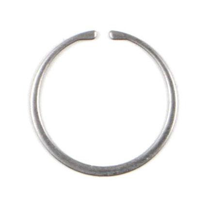 AR-308 Gas Ring
