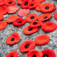 November 11th: Lest We Forget