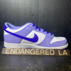 Nike Dunk Low Blueberry GS