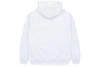 Spider OG Web Hoodie Heather Grey F/W 23'