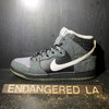 Nike SB Dunk High Petoskey Premier Sz 9.5
