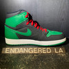 Air Jordan 1 Pine Green  Sz 10.5