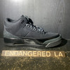 Air Jordan 3 Black Cat 25' Sz 10