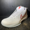 Nike Kobe 4 Protro Draft Day Pack Toronto Raptors