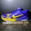 Nike Kobe 5 Protro 5 Rings Sz 12
