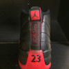 Air Jordan 12 Flu Game 16'