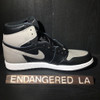 Air Jordan 1 Shadow 18'