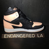 Air Jordan 1 Crimson Tint