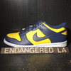 Nike Dunk Low Michigan GS