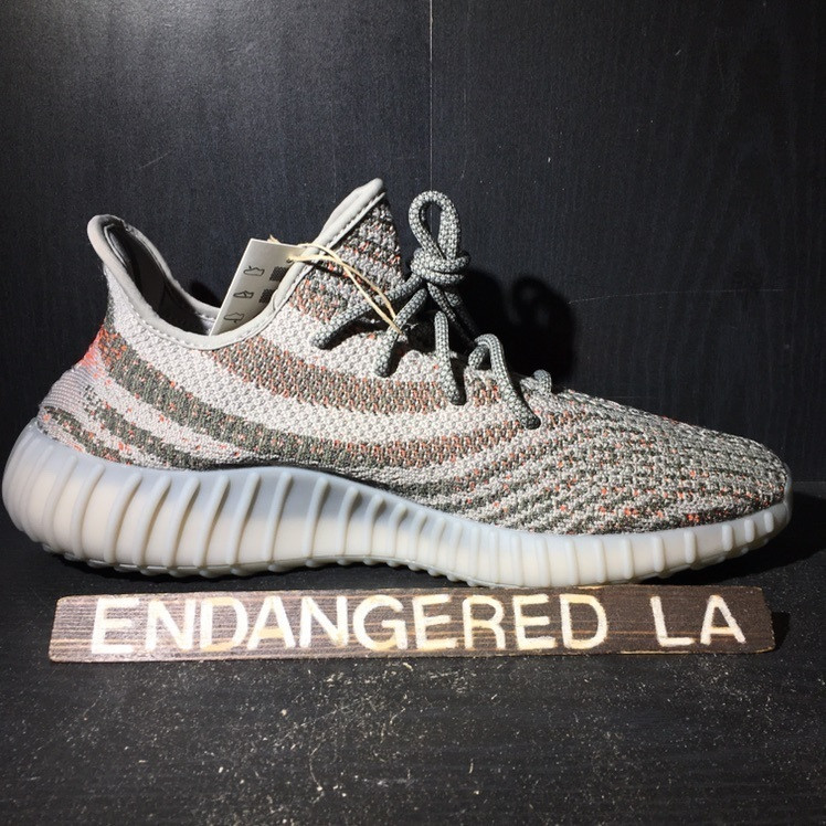 beluga 2.0 reflective