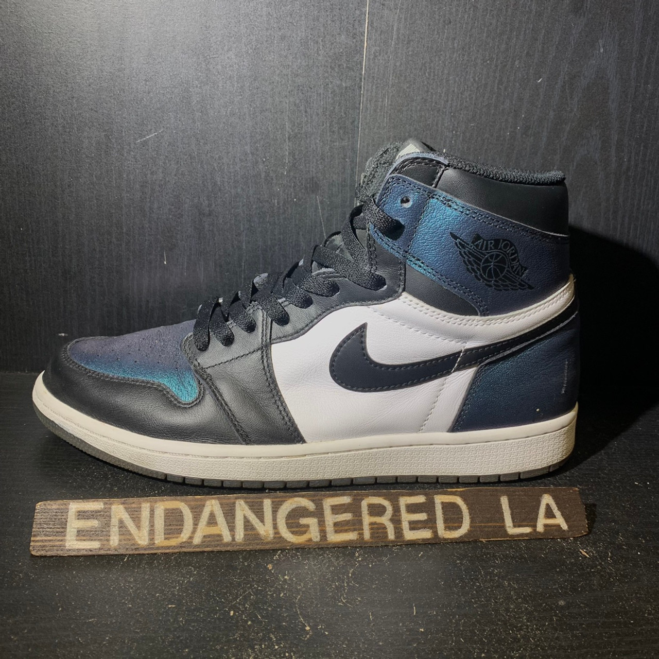 Air Jordan 1 All-Star Chameleon Sz 11 (#24198) - ENDANGERED LA