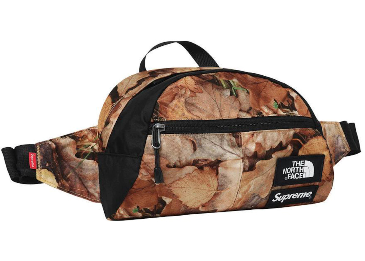 Supreme - The North Face X Supreme Backpack Tree Camo