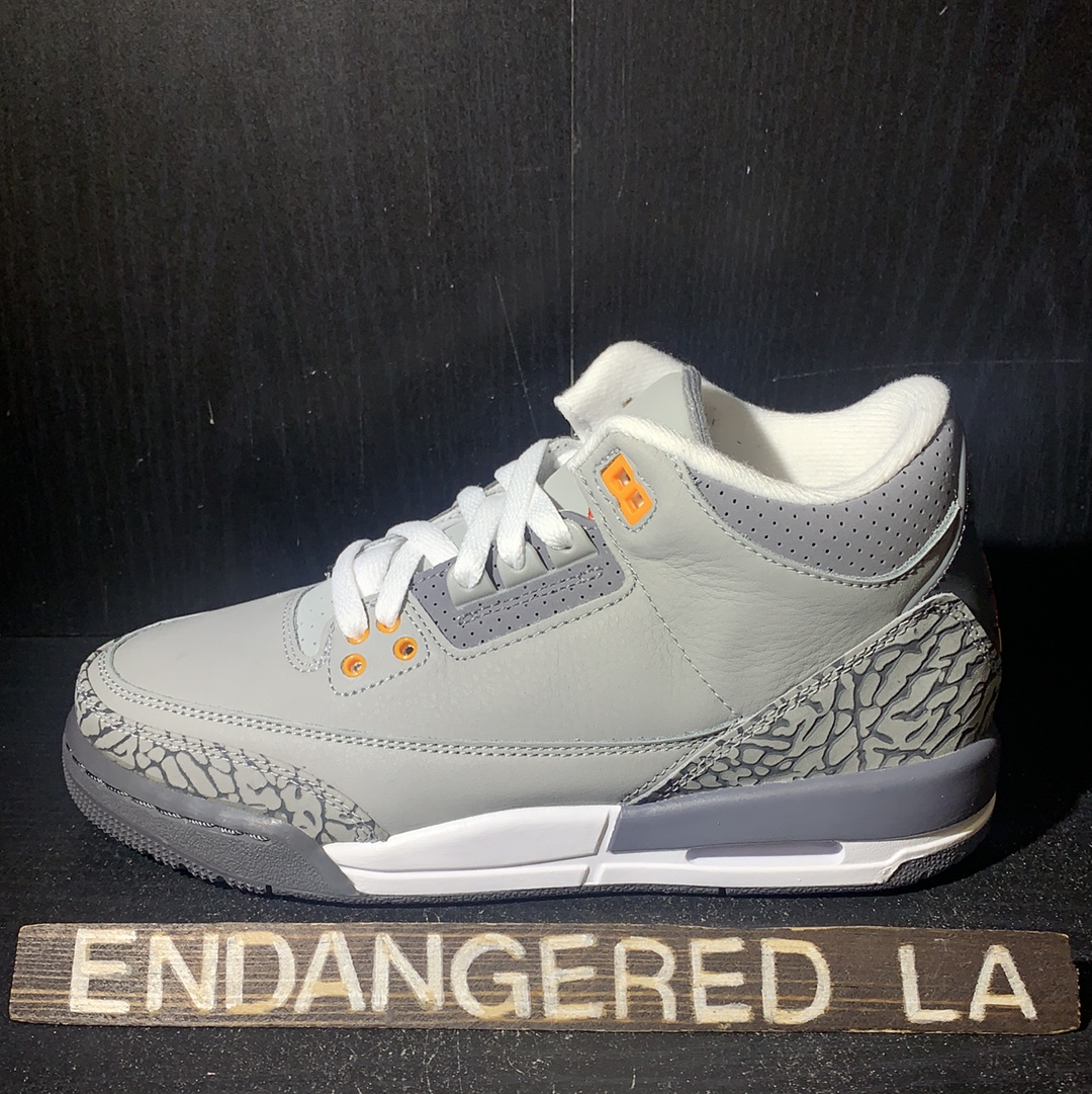 Air Jordan 3 Cool Grey 21' Sz 5.5 