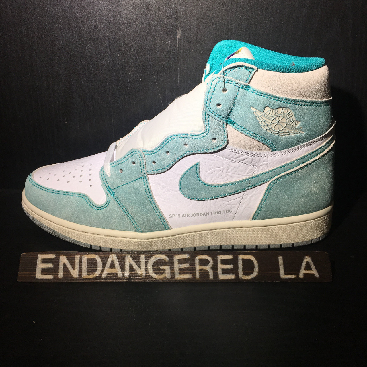Air Jordan 1 Turbo Green Sz 10.5 