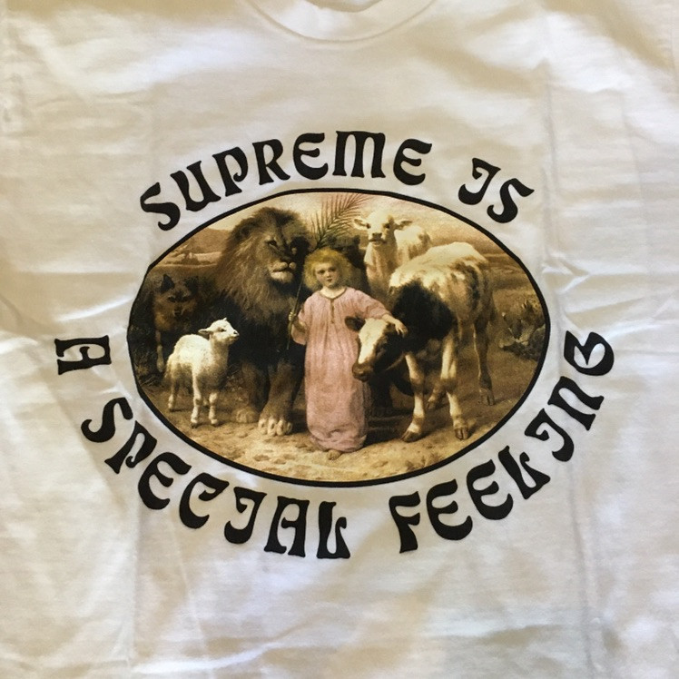 Supreme Special Feeling Tee White F/W 