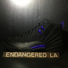 Air Jordan 12 Dark Concord