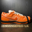 Nike SB Dunk Low Concept Orange Lobster