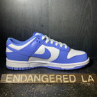Nike Dunk Low Polar Blue