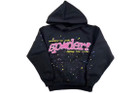 Spider P*NK V2 Hoodie Black F/W 23'