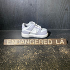 Nike Dunk Low Two-Toned (TD)