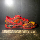 Nike SB Dunk Low The Wizard of Oz Poppy Field