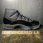 Air Jordan 11 Gamma Blue 25' Sz 10