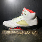 Air Jordan 5 Fire Red Silver Tongue 20' Sz 11.5
