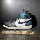 Air Jordan 1 All-Star Chameleon 17' Sz 11