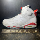 Air Jordan 6 White Oreo Sz 10.5