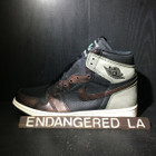 Air Jordan 1 Patina Rust Sz 11