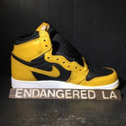 Air Jordan 1 Pollen Sz 10