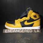 Air Jordan 1 Pollen Sz 10.5
