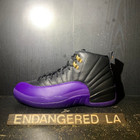 Air Jordan 12 Field Purple Sz 9.5