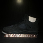Air Jordan 4 Kaws Black