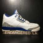 Air Jordan 3 True Blue 01' Sz 10