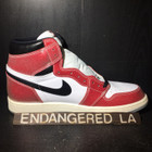 Air Jordan 1 Trophy Room (F&F w/ Blue Laces)