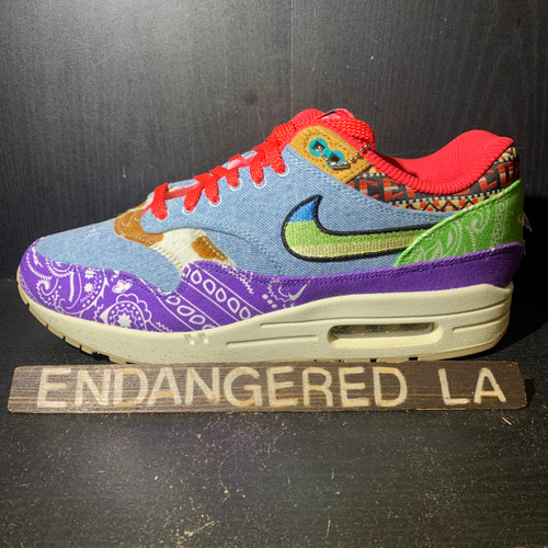 Nike Air Max 1 Concepts Far Out (SB)