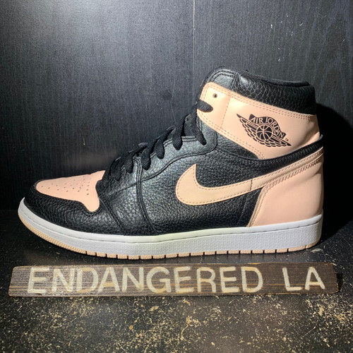 Air Jordan 1 Crimson Tint Sz 11