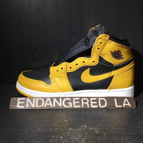 Air Jordan 1 Pollen Sz 10