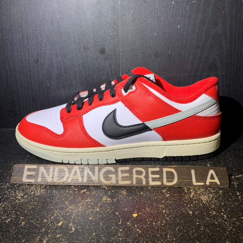 Nike Dunk Low Chicago Split Sz 9.5